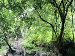 -叠彩山景区