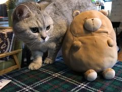 -不舍昼夜咖啡馆