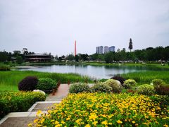 -桂溪生态公园