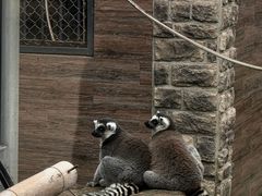 -上方山森林动物世界