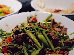 香菜炒牛肉-壹盏灯(蚂蚁工房店)