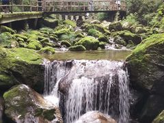 -牛背梁国家森林公园