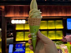 -凤凰山斑鱼馆(恭城店)