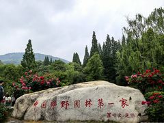 -习家池