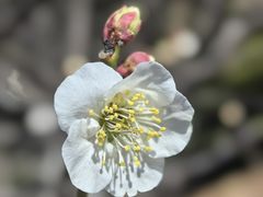 -绍兴镜湖国家城市湿地公园