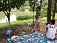 -铁山坪森林公园