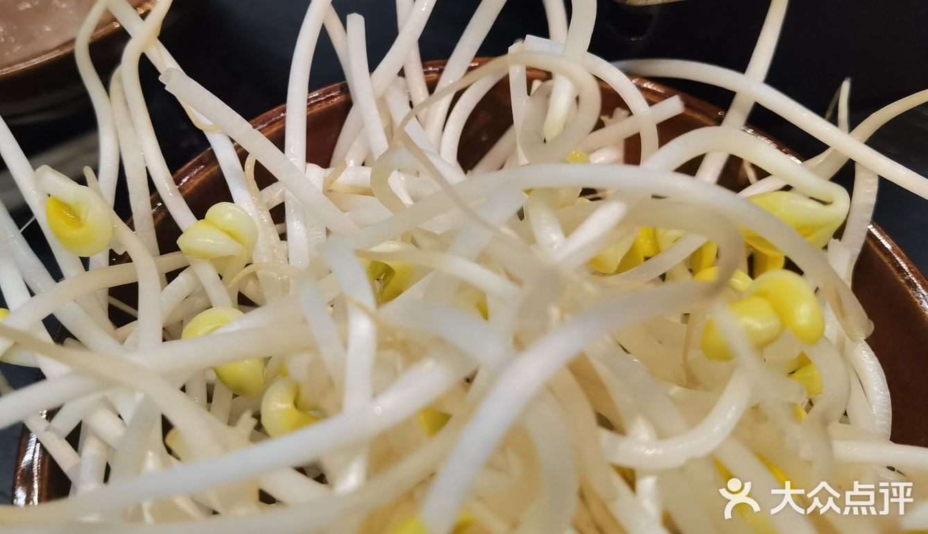 吃了一晚折耳根