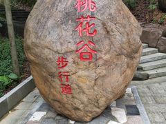 -大屏嶂森林公园