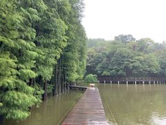 -采石矶景区