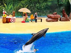 -海合安天津极地海洋公园