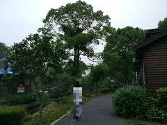 -金龟岛渔村
