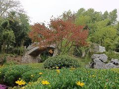 -菊花台公园