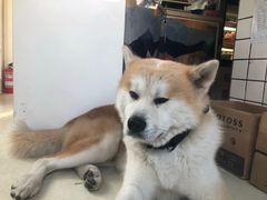 -餐酒吧Com-ing Bar(上海路店)
