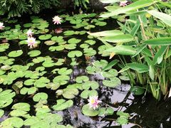 -晓港公园