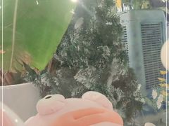 -天空花园餐吧·生日·团建(南山店)