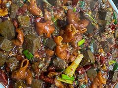 -后卫寨猫耳朵(后卫寨店)