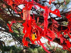 -终南山南五台景区