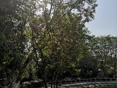 -莲湖公园