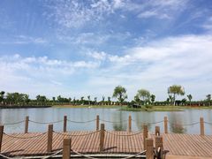 -明珠湖天鹅苑·农家菜馆