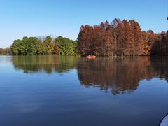 -上海海湾国家森林公园