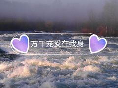 -尼亚加拉瀑布州立公园