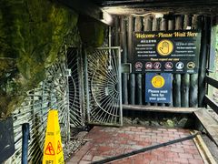 -怀托摩萤火虫洞