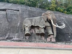 -哈尔滨北方森林动物园