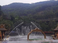 -西双版纳原始森林公园