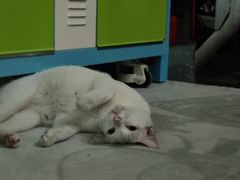 -暨南大学（石牌校区）明湖楼