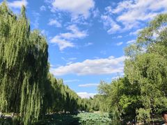 -清华大学-甲所餐厅