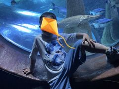 -成都浩海立方海洋公园