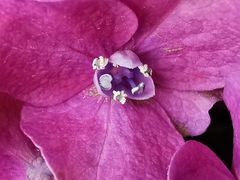 -方恒购物中心(望京小街店)