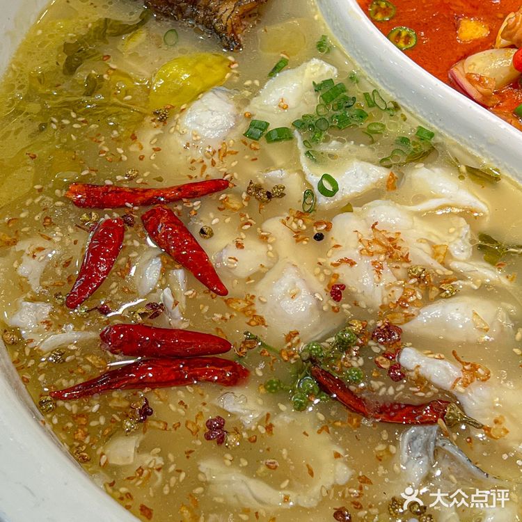 酸菜鱼也可以鸳鸯⁉️南昌首家双拼酸菜🐟