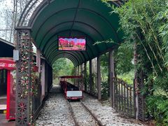 -合肥滨湖国家森林公园