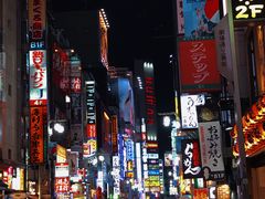 -六本木新城展望台(东京城市景观)