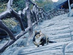 -狼牙山风景区