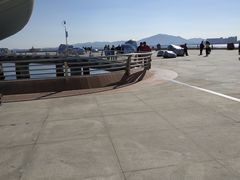 -演武大桥观景平台