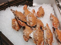 -长春高新益田福朋喜来登酒店·宜客乐标帜餐厅