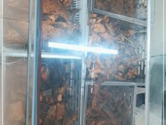 -金丹酱板鸭营业厅(紫缘路店)