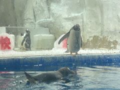 -华夏文旅海洋公园