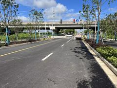 -南汇新场正宗水蜜桃采摘