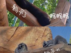 -北京野生动物园