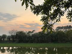 -广东花都香草世界旅游度假区
