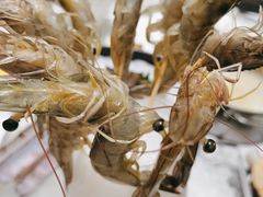 -红鼎豆捞·非遗鲍皇汤火锅(宝丰路店)