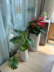 -Your Yoga Pilates·瑜伽普拉提习练室