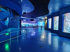 -海合安青岛极地海洋公园