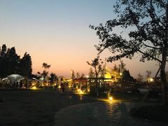 烧烤码头-太阳岛度假酒店