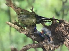 -南宫五洲植物乐园