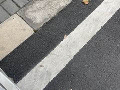 -海底捞火锅(吾悦国际广场店)