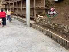 -栾川竹海野生动物园